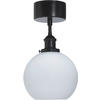 DECKENLEUCHTE PR Home OMEGA 20/36 cm   - Schwarz, Design, Glas (20/36cm)