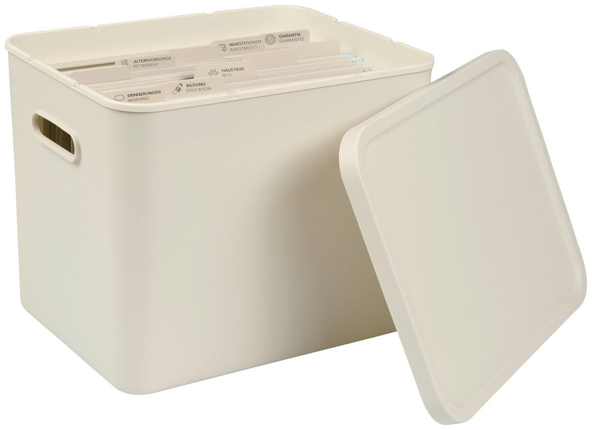 ORGANIZER  - Weiß, KONVENTIONELL, Kunststoff (29/29,5/37cm) - Rotho