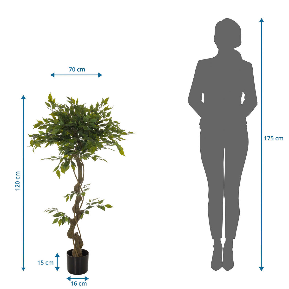 KUNSTPFLANZE Ficus Benjamina  - Schwarz/Braun, Basics, Kunststoff (70/120/70cm) - MID.YOU