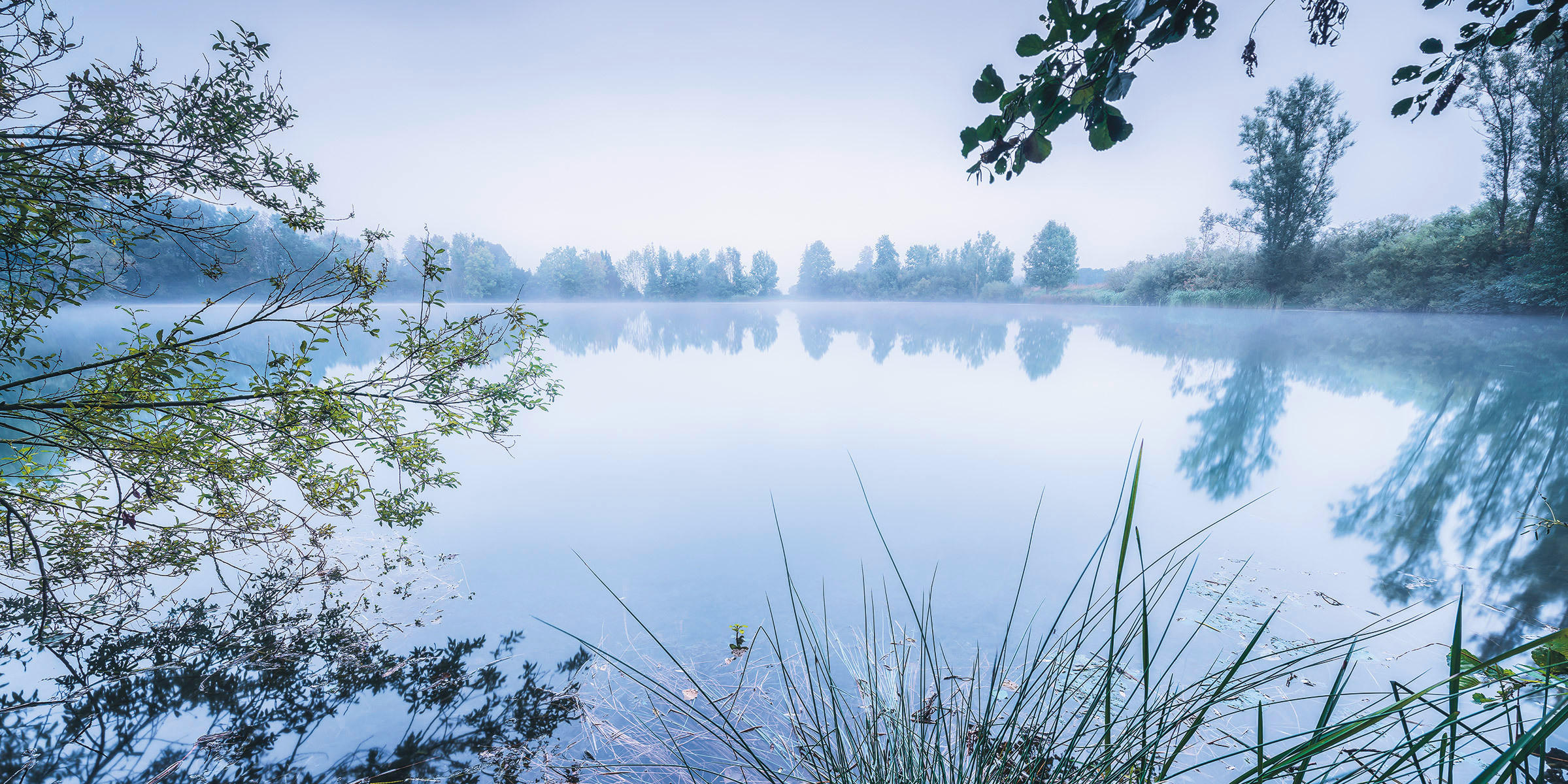 VLIESTAPETE  - Natur (200/100cm) - Komar