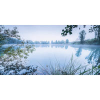 VLIESTAPETE - Natur (200/100cm)