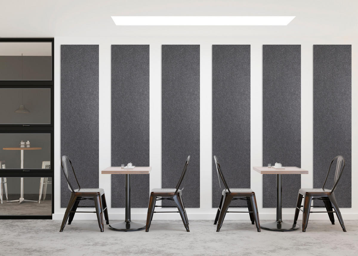 AKUSTIKPANEEL  - Anthrazit, Basics, Kunststoff (55/240/0,9cm)