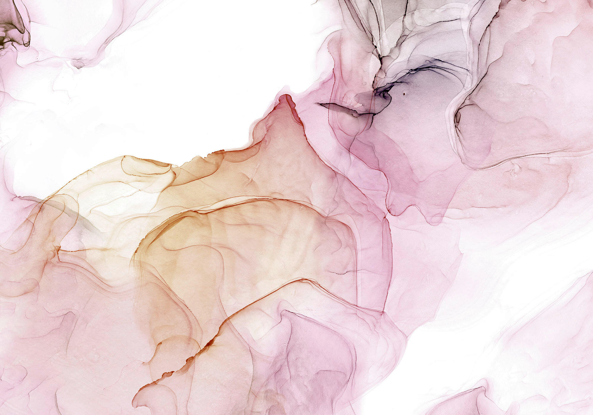 Xora Fototapete Gelb, Rosa, Weiß 400x280 cm