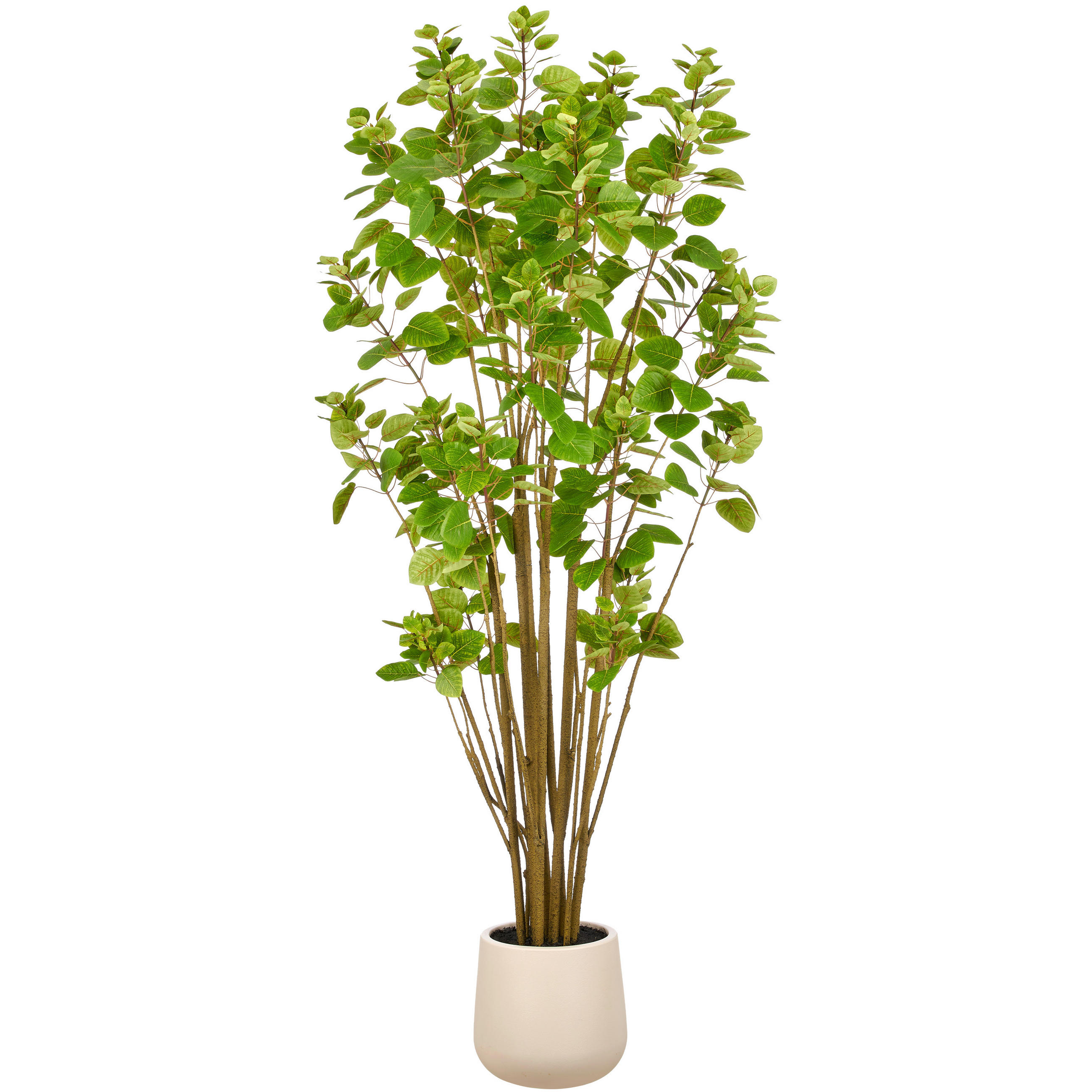 KUNSTPFLANZE Dekoblatt 180 cm  - Creme/Braun, Basics, Kunststoff (180cm)
