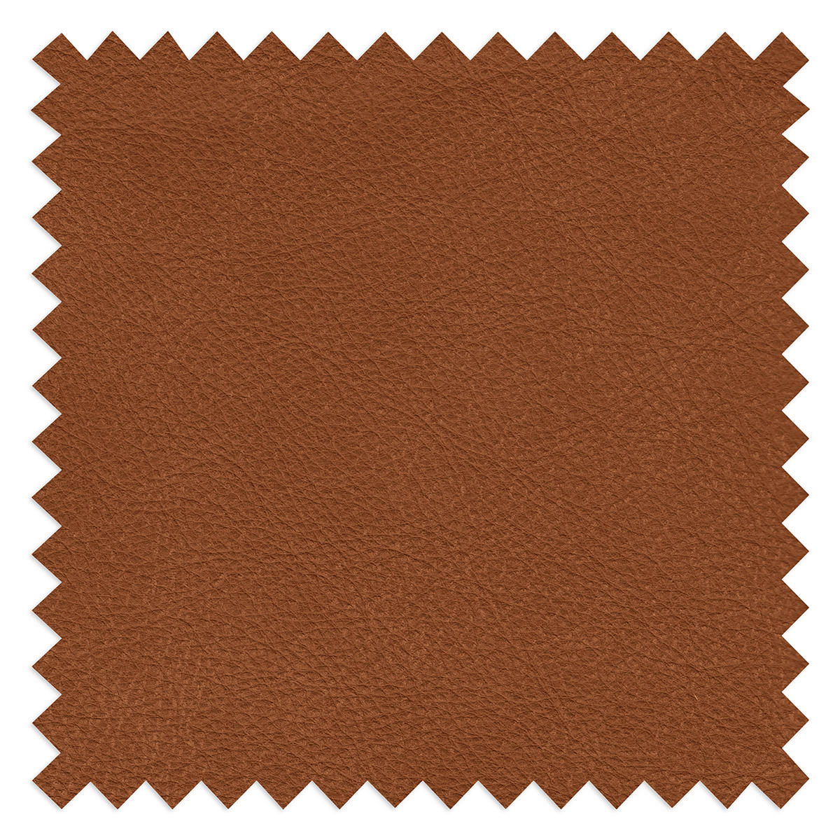 3-SITZER-SOFA  in Echtleder Karamell   - Beige/Karamell, Design, Leder/Kunststoff (300/85/123cm) - Livetastic