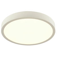 LED MENNYEZETI LÁMPA - fehér, Konventionell, műanyag (30/3,6cm) - Boxxx