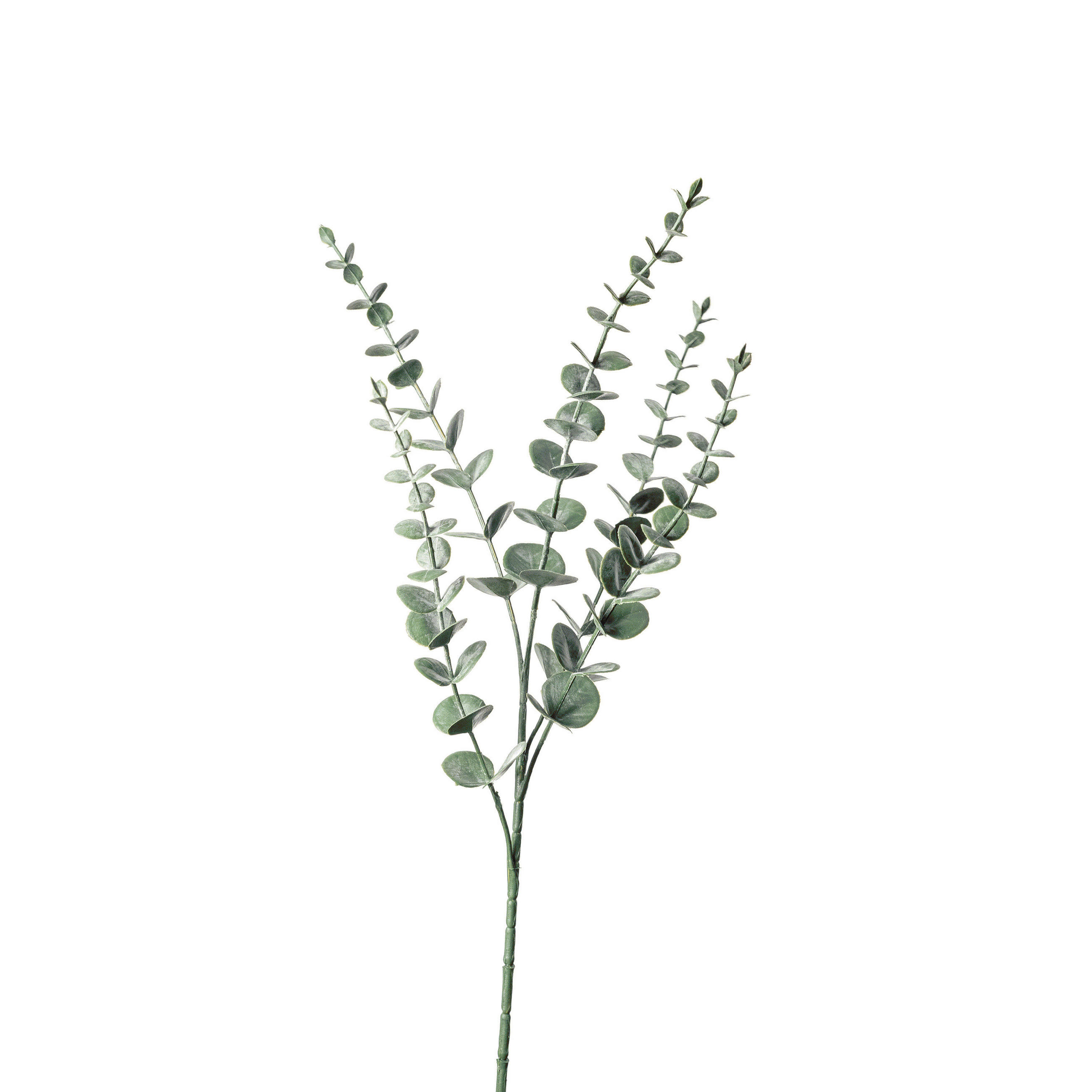 DEKOZWEIG - Grün, Basics, Kunststoff (74cm)