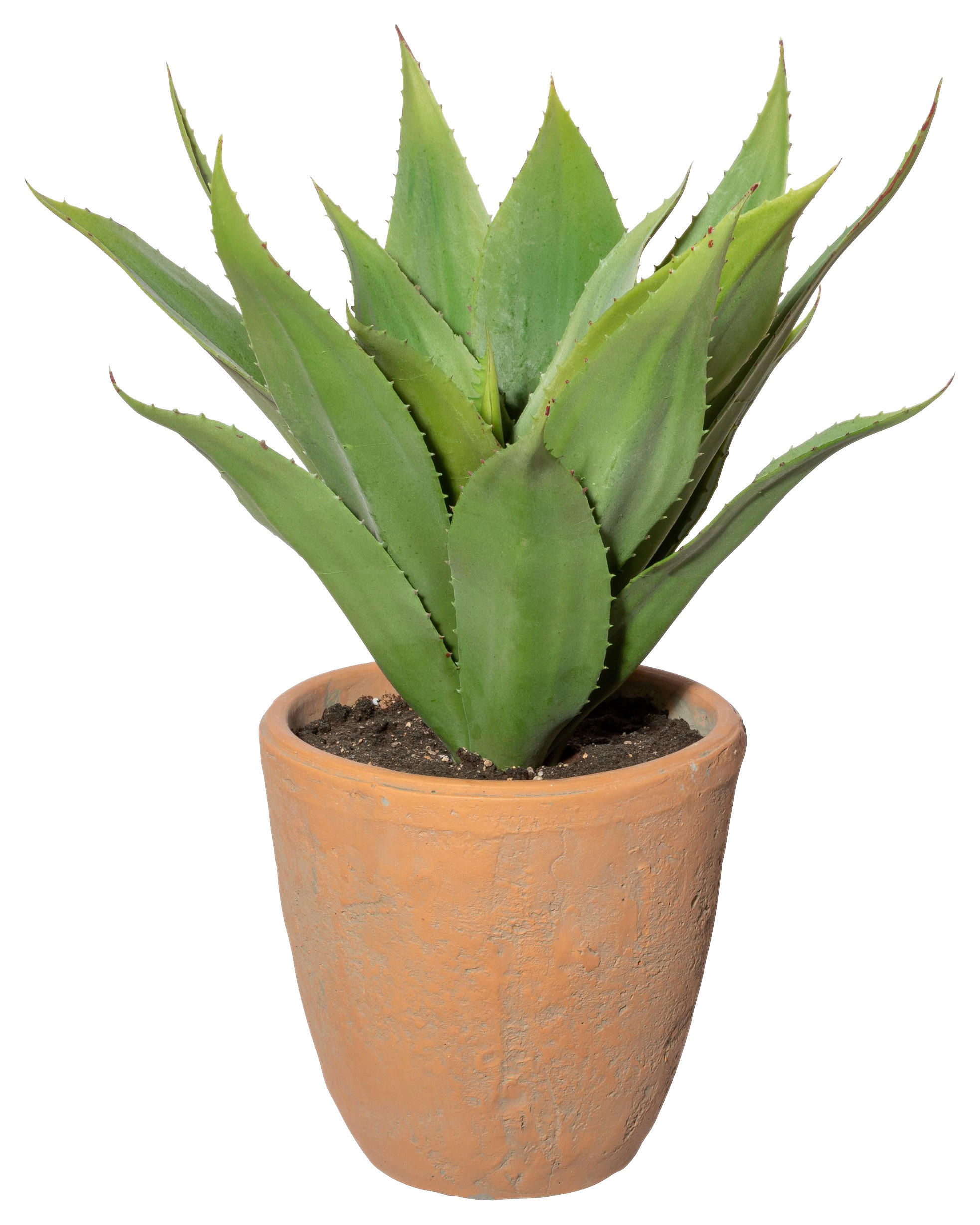 KUNSTPFLANZE Agave 40 cm  - Naturfarben/Grün, Design, Keramik/Kunststoff (40cm)