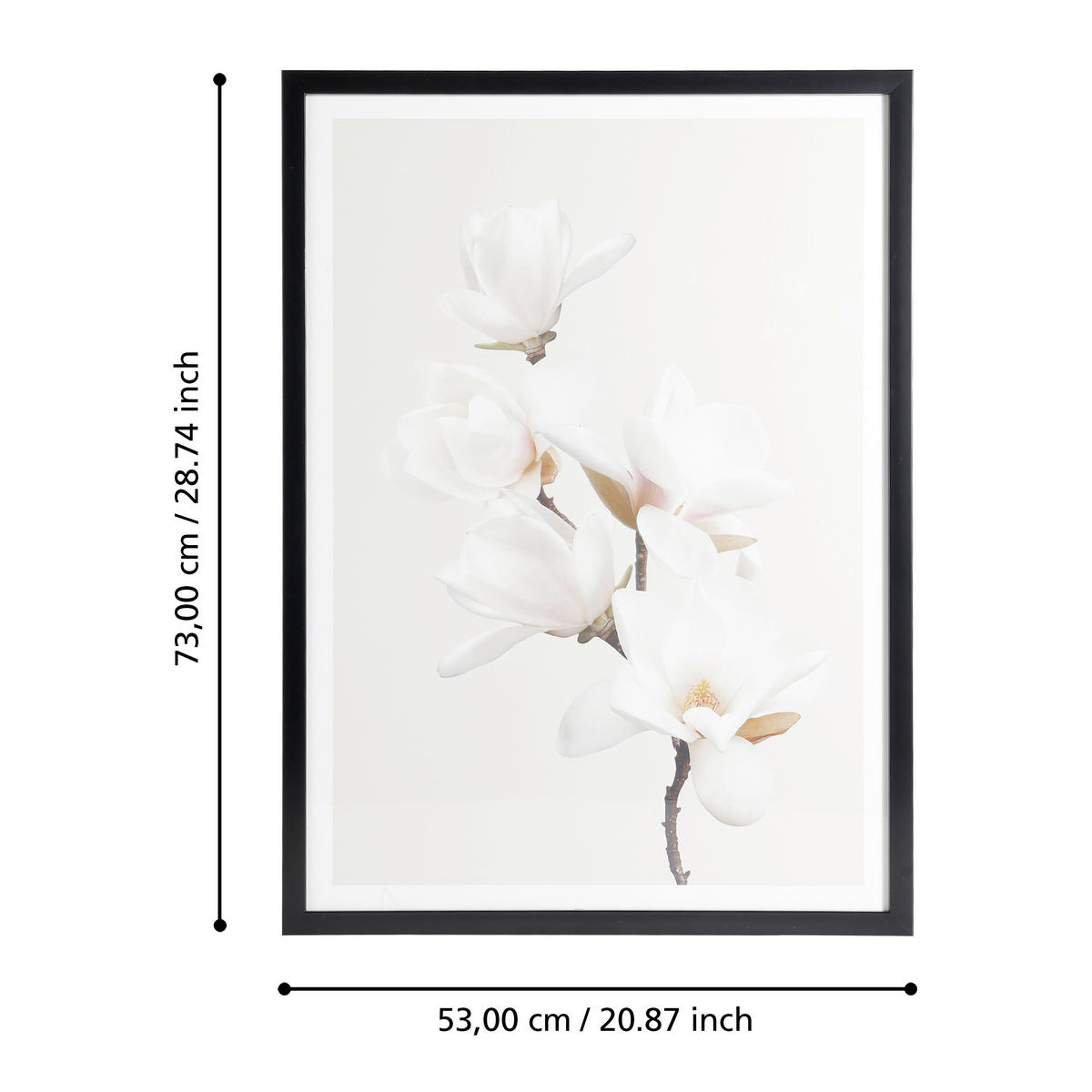 DRUCKGRAFIK Blumen Schwarz, Weiß, Pink, Beige  - Pink/Beige, Trend, Glas/Papier (53/1,6/73cm) - Eglo