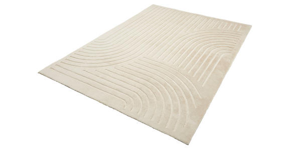 HOCHFLORTEPPICH 40/60 cm Siena Beige rechteckig  - Beige, Design, Kunststoff/Textil (40/60cm) - Boxxx