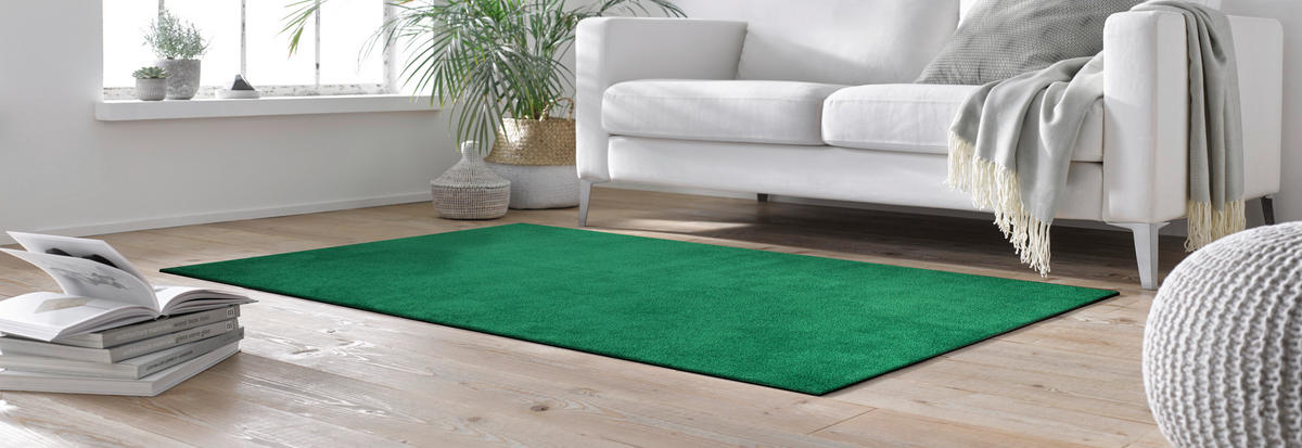FLACHWEBETEPPICH  Wohnzimmer 120/180 cm Ever Green Grün rechteckig  - Grün, KONVENTIONELL, Kunststoff/Textil (120/180cm) - wash+dry