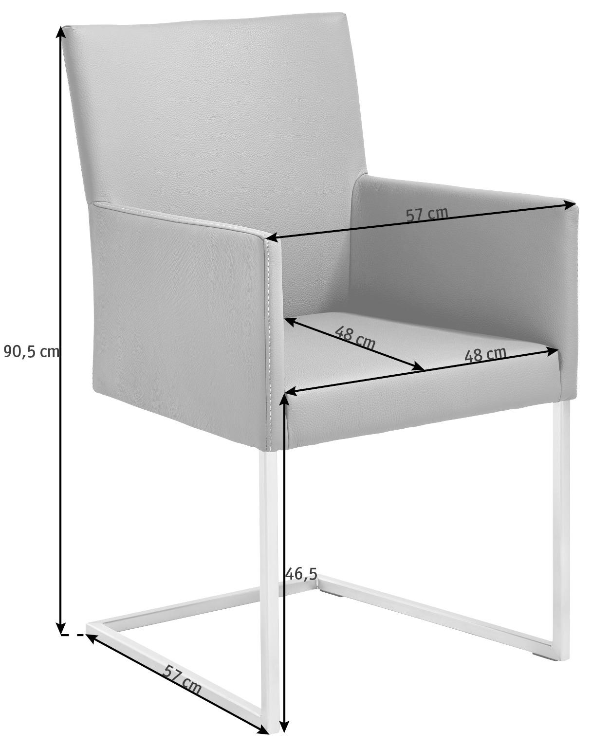 ARMLEHNSTUHL  in Edelstahl Echtleder pigmentiert  - Graphitfarben, Design, Leder/Metall (54/90,5/63cm) - Bert Plantagie
