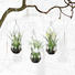 KUNSTBLUMENSET 3-TEILIG Schneeglöckchen - Weiß/Grün, Kunststoff (20cm) KUNSTBLUMENSET 3-TEILIG Schneeglöckchen - Weiß/Grün, Kunststoff (20cm)