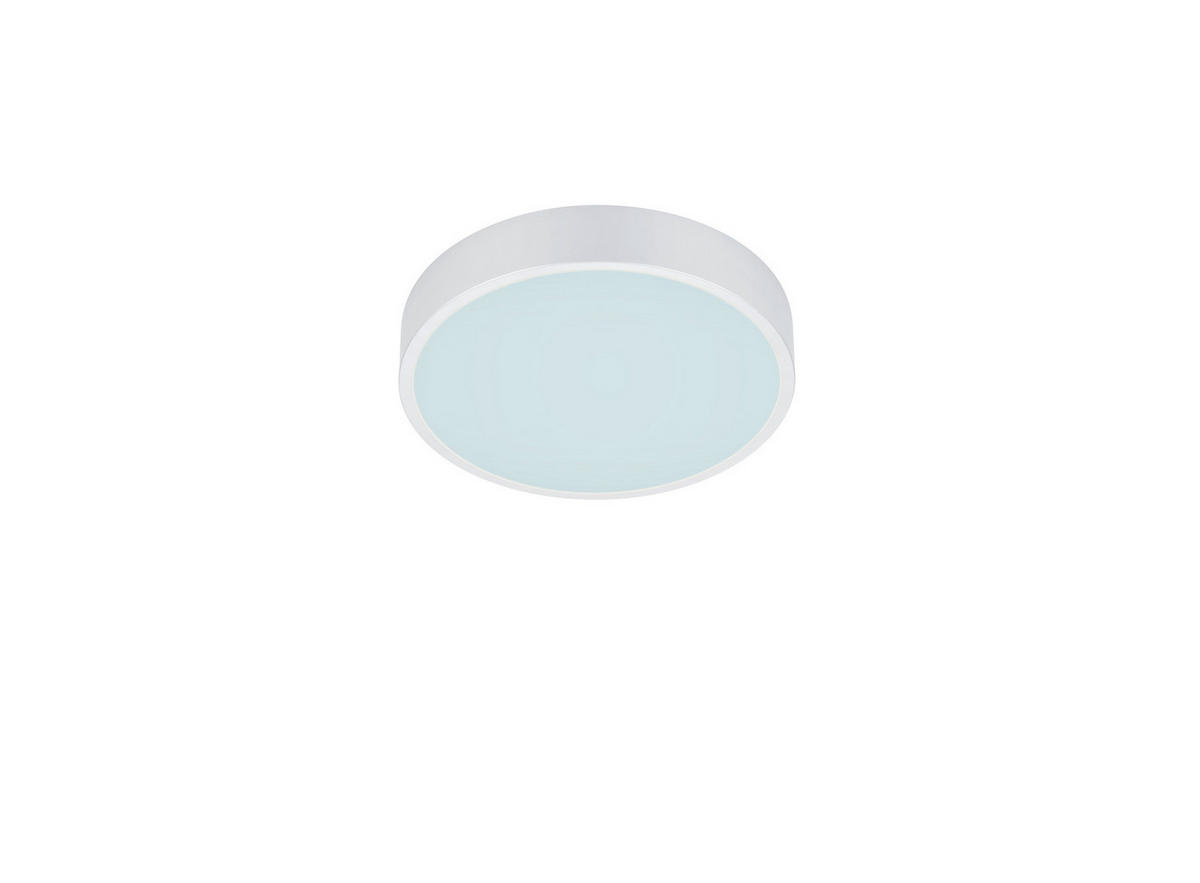 LED-DECKENLEUCHTE  31/6,5 cm    - Basics (31/6,5cm) - Trio Leuchten
