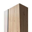 DREHTÜRENSCHRANK  in Kaschmir, Eiche Artisan  - Kaschmir/Schwarz, KONVENTIONELL, Holzwerkstoff/Metall (312,4/226,5/61,5cm) - Carryhome