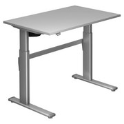 SCHREIBTISCH - Silberfarben/Grau, Design, Holzwerkstoff/Metall (120/72-119/80cm)