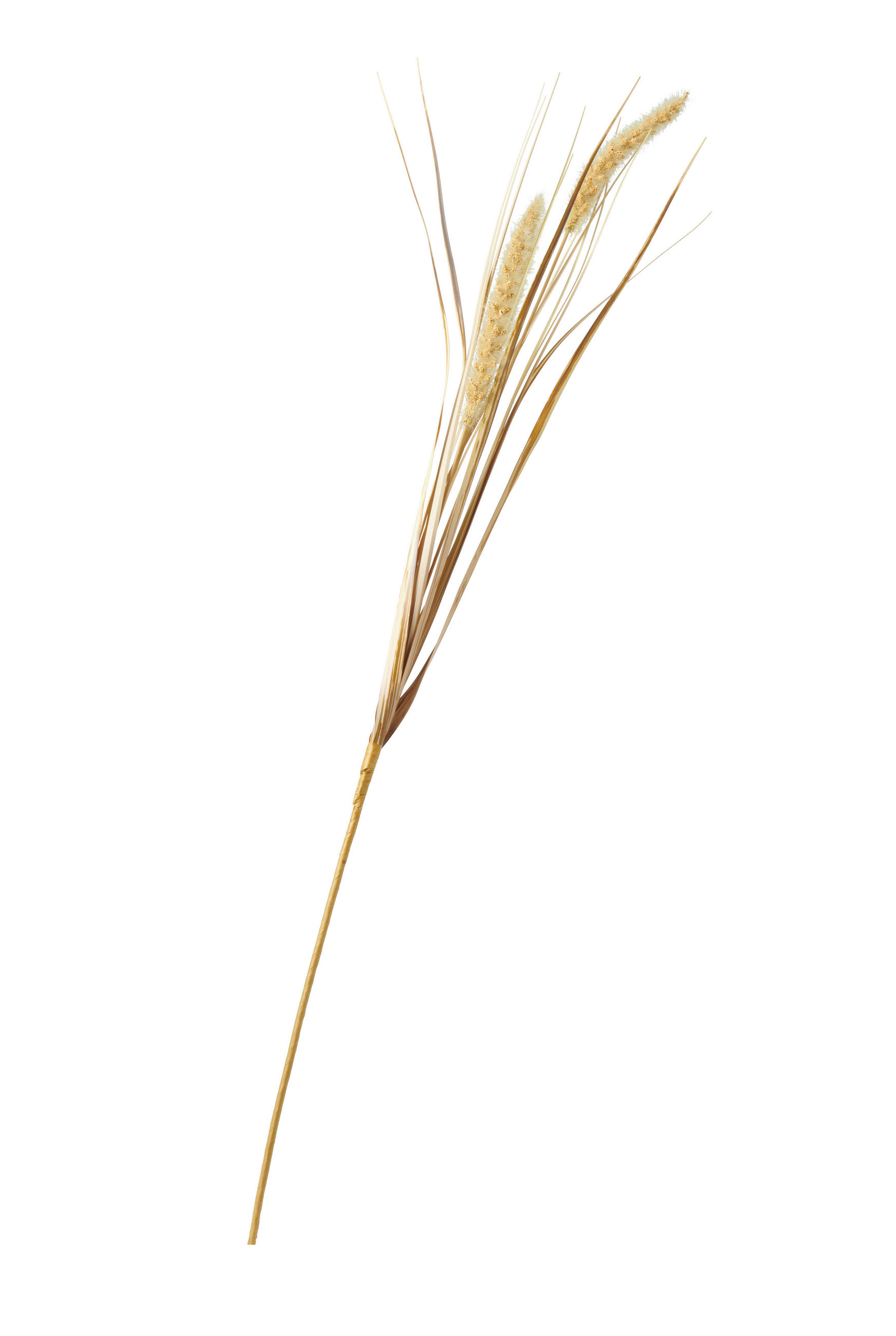DEKORAČNÁ VETVIČKA rákosie 86 cm - piesková, Basics, plast (86cm)