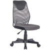 RADNA STOLICA ZA MLADE  siva, crna   - siva/crna, Konvencionalno, metal/tekstil (42/85(95)/42cm) - Carryhome