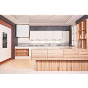 EINBAUKÜCHE - MODERN, Holzwerkstoff - Dan Küchen