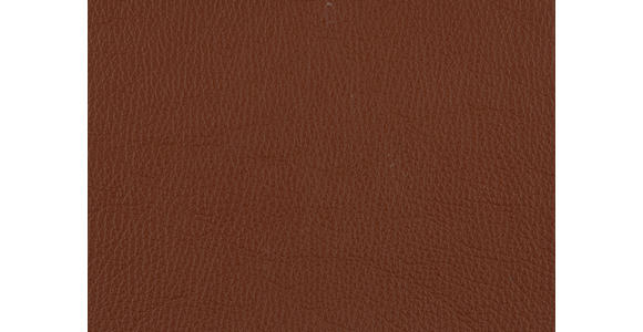 3-SITZER-SOFA in Echtleder Cognac - Cognac/Alufarben, Design, Leder/Metall (190/82/99cm) - Dieter Knoll