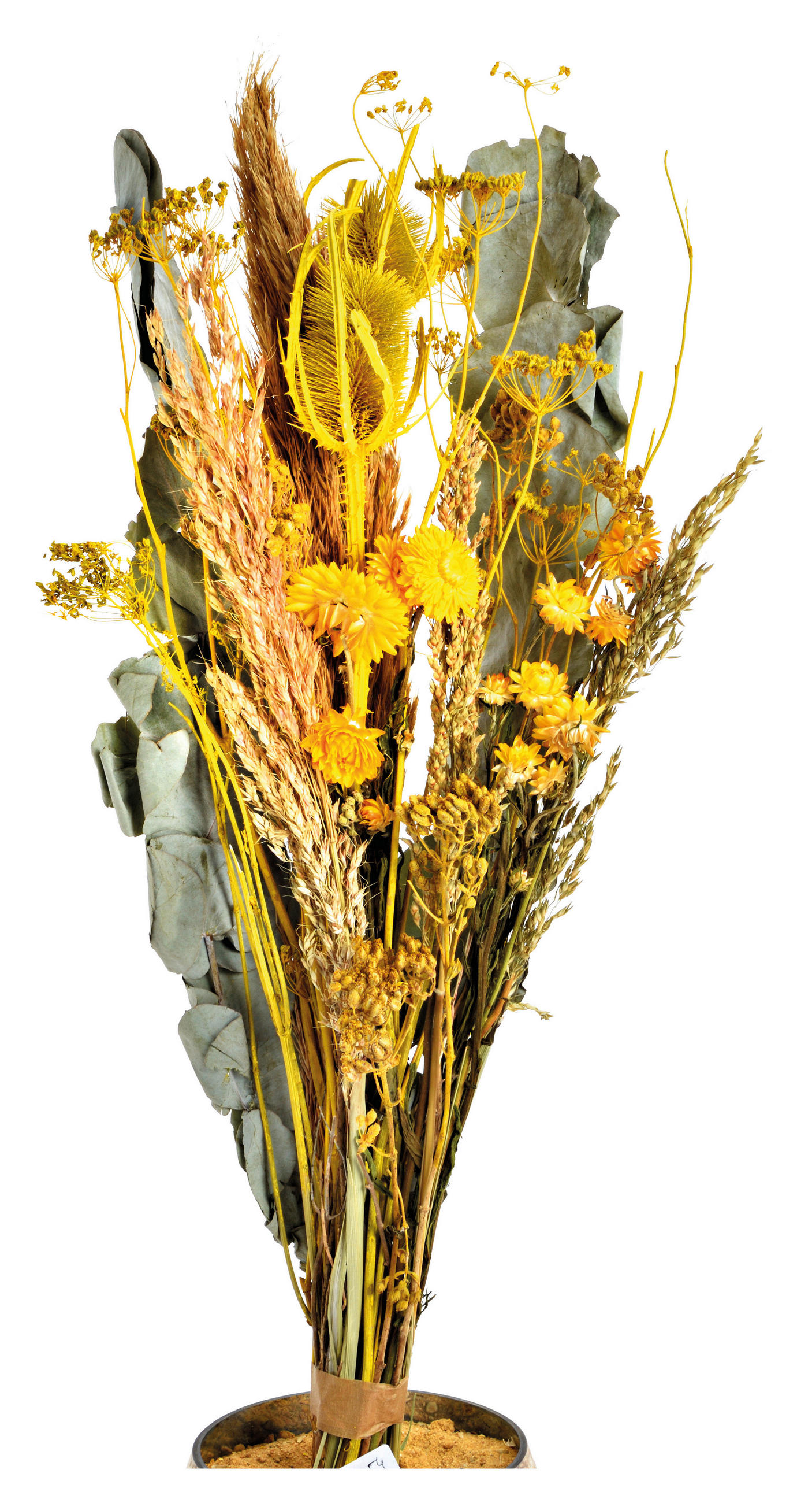 TROCKENBLUMENSTRAUß  - Gelb/Orange, Basics, Naturmaterialien (55cm)