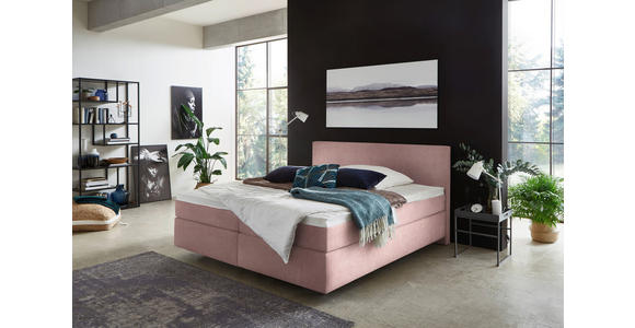 BOXSPRINGBETT 160/200 cm  in Rosa  - Schwarz/Rosa, KONVENTIONELL, Kunststoff/Textil (160/200cm) - Hom`in