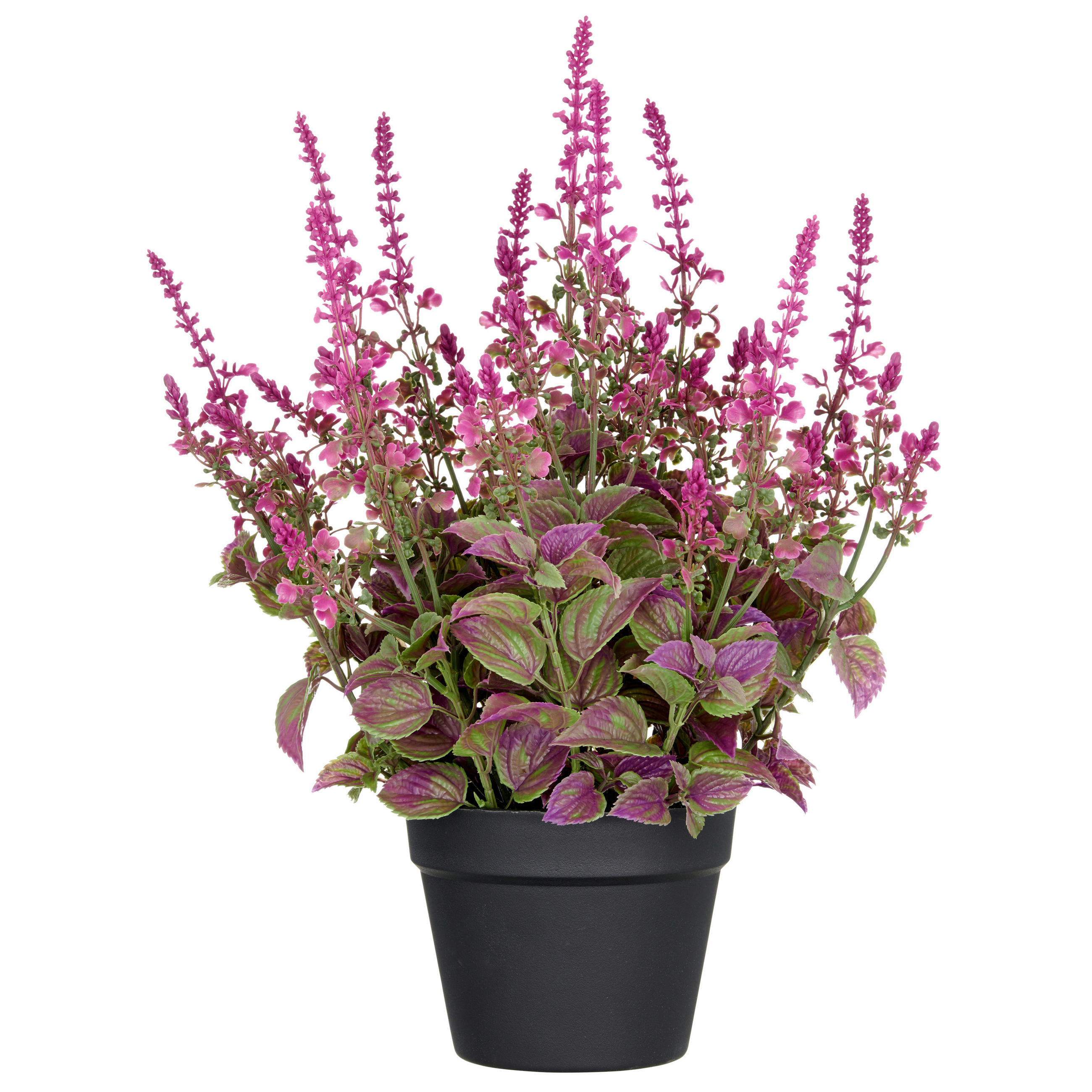 KUNSTPFLANZE  - Pink/Schwarz, Basics, Kunststoff (19/59/19cm) - P & B