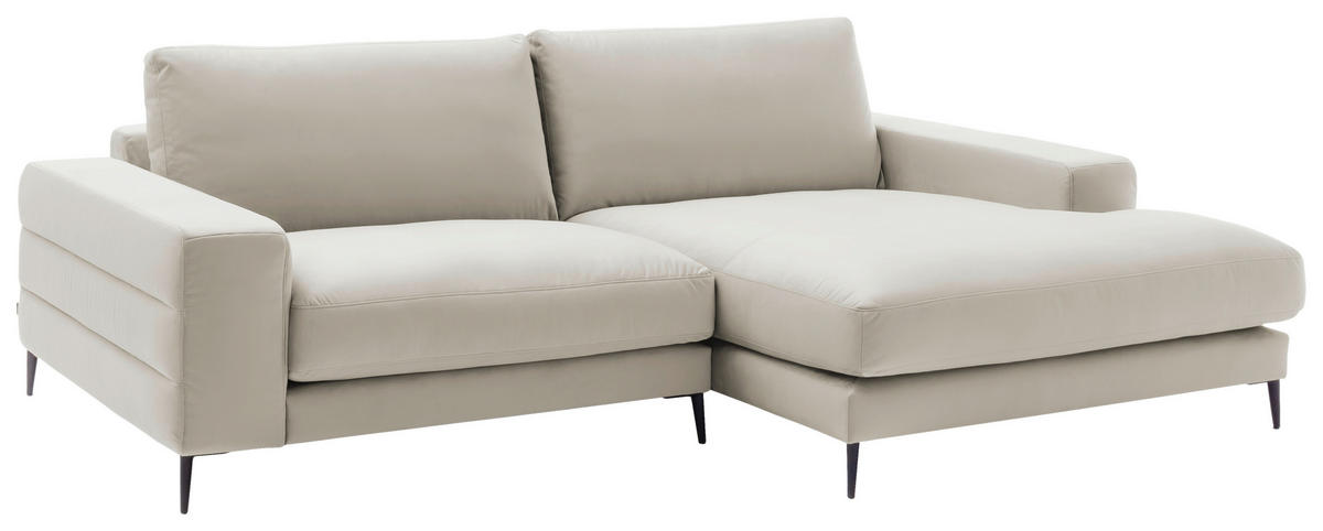 ECKSOFA in Velours Creme  253/177 cm  - Creme/Schwarz, Design, Textil/Metall (253/177cm) - Dieter Knoll