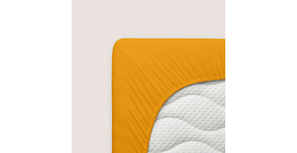 SPANNLEINTUCH 140-160/200 cm Jersey  - Goldfarben, Basics, Textil (140-160/200cm) - Novel