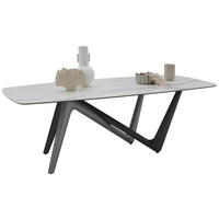 ESSTISCH 220/110/75 cm Kunststoff, Keramik Anthrazit, Grau, Weiß oval  - Anthrazit/Weiß, Design, Keramik/Kunststoff (220/110/75cm) - Dieter Knoll