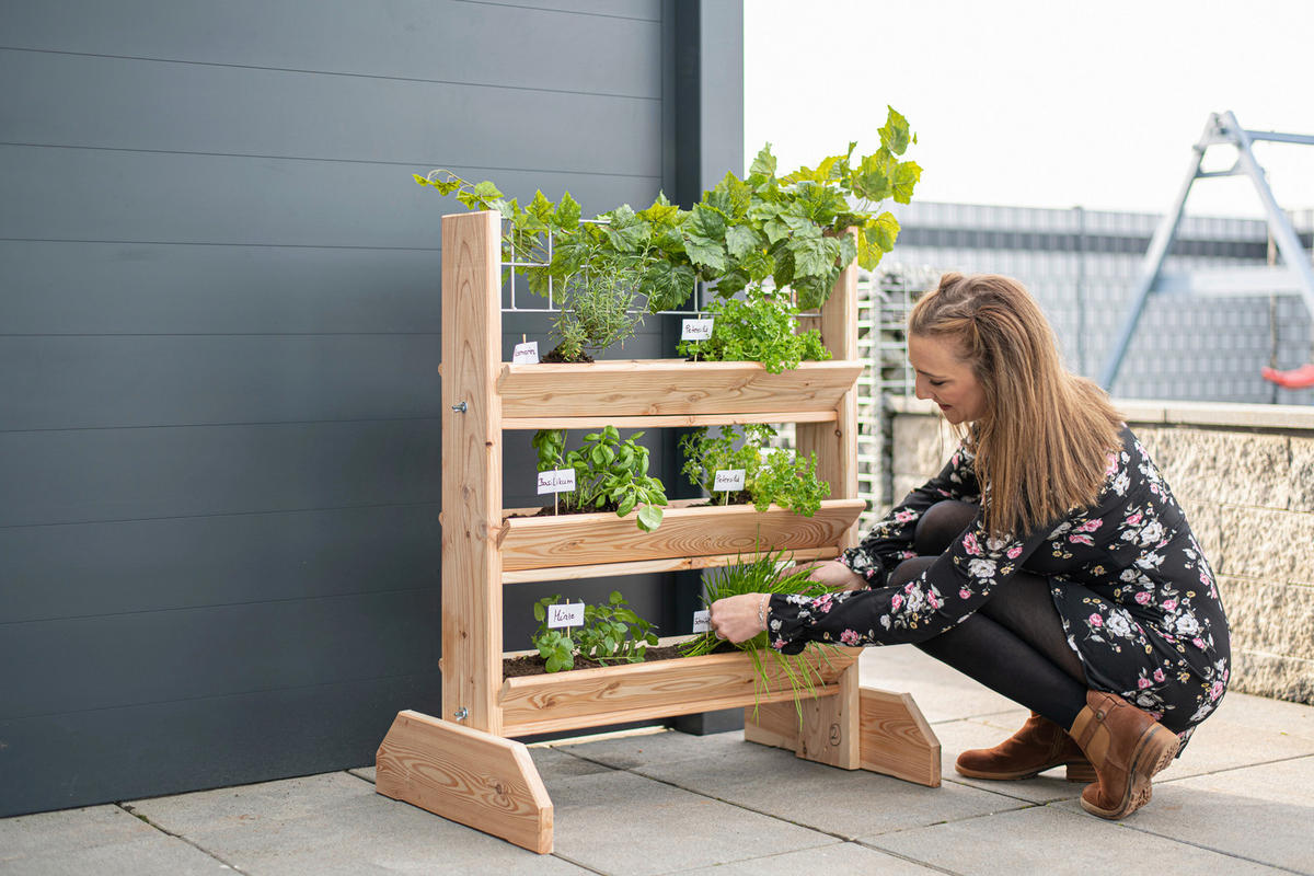 GARTENREGAL Holz  - Lärchefarben, Basics, Holz (80/95/50cm) - Ambia Garden