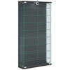 VITRINE in Anthrazit  - Transparent/Anthrazit, Design, Glas/Holzwerkstoff (59/114/17cm) - MID.YOU