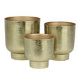 PFLANZTOPF 17/18 cm  - Goldfarben, Trend, Metall (17/18cm) - Ambia Home