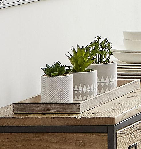SUKKULENTE Aloe Vera  - Naturfarben/Weiß, Design, Kunststoff (9,5/19,5cm) - Ambia Home
