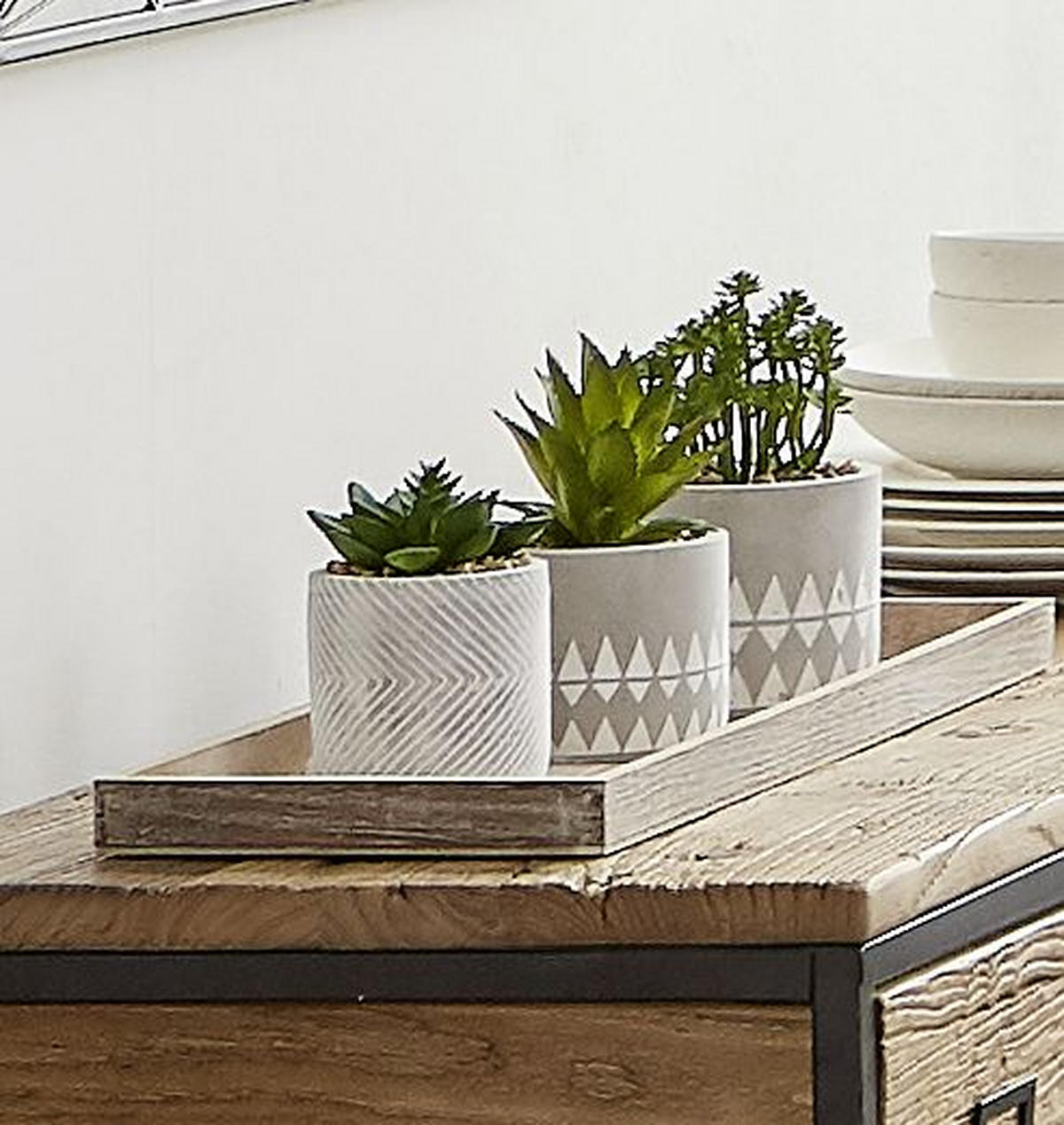 SUKKULENTE Aloe Vera  - Naturfarben/Weiß, Design, Kunststoff (9,5/19,5cm) - Ambia Home