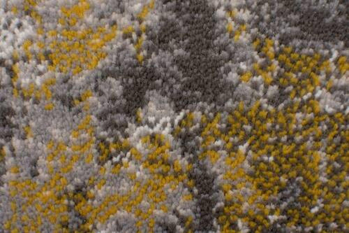TEPPICH 150/80 cm Gelb, Grau  - Gelb/Grau, Basics, Textil (150/80cm) - Xora