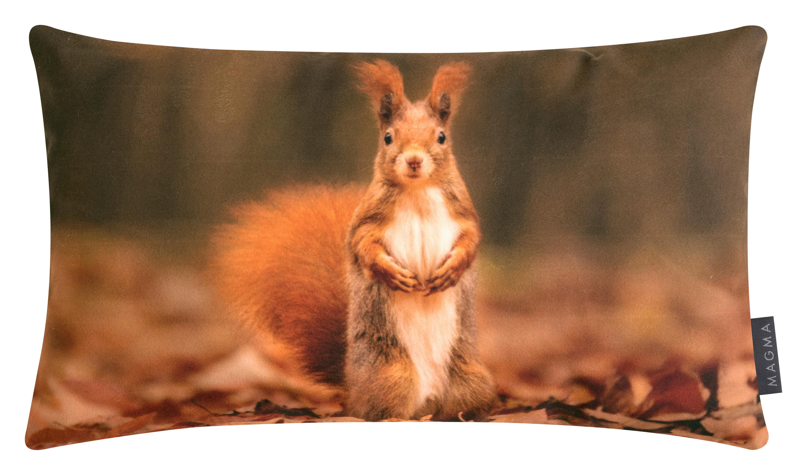 ZIERKISSEN  30/50 cm   - Multicolor, Basics, Textil (30/50cm)