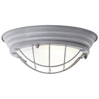 DECKENLEUCHTE  29/10 cm    - Grau, KONVENTIONELL, Glas/Metall (29/10cm) - Brilliant