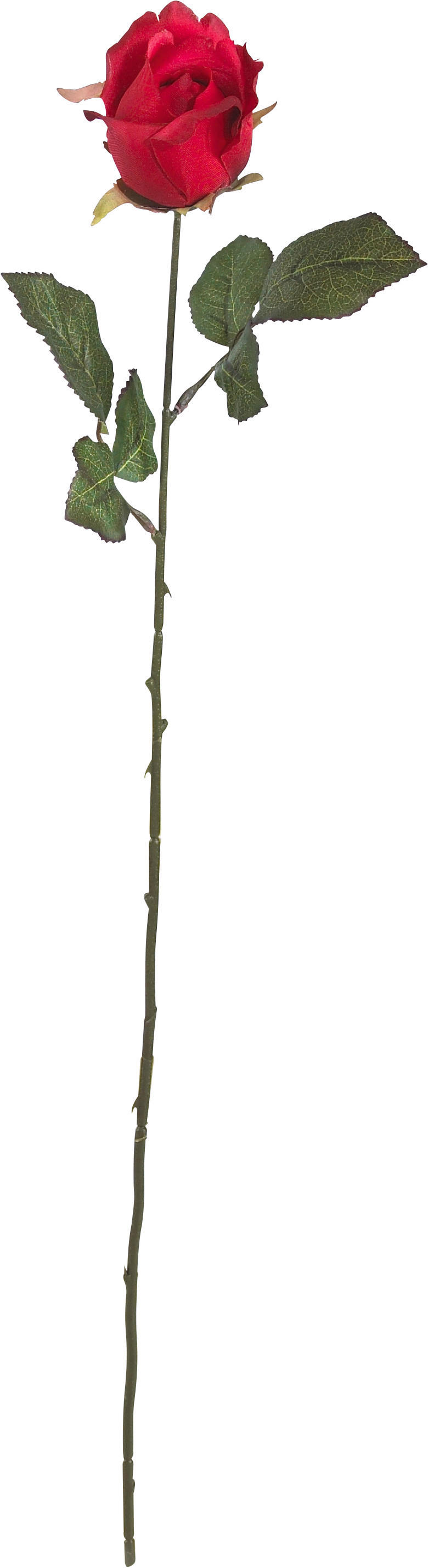 UMELÝ KVET ruža 62 cm - lila/oranžová, Basics, textil/plast (62cm)