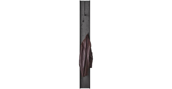 GARDEROBENPANEEL in 20/174/6 cm - Anthrazit, Design, Holz/Metall (20/174/6cm) - Johann Jakob