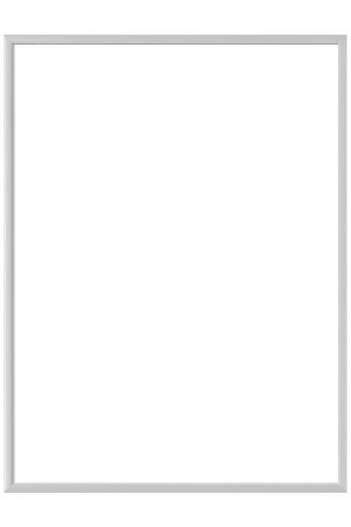 BILDERRAHMEN - Silberfarben, Basics, Glas/Metall (50/70cm) - Nielsen