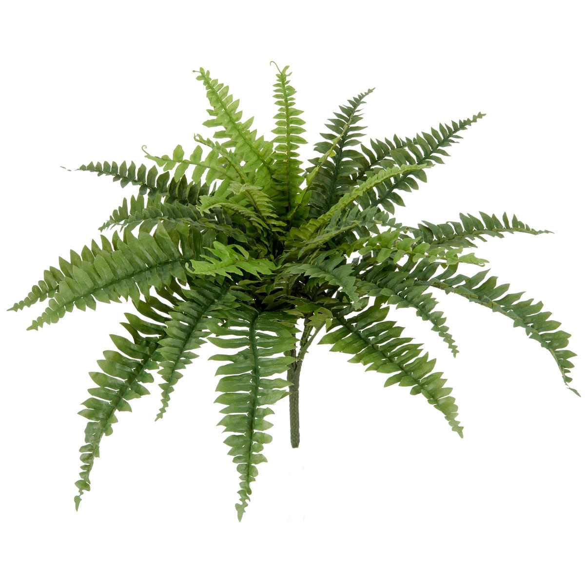 KUNSTPFLANZE Farn  - Grün, Basics, Kunststoff (60cm) - P & B