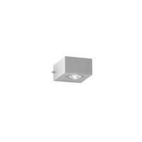 AUSSENWANDLEUCHTE - Silberfarben, Konventionell, Glas/Metall (5/8cm) - Fischer & Honsel