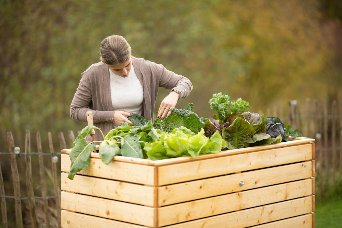 VYVÝŠENÝ ZÁHON   - farba smreka, Basics, drevo (70/90/130cm)