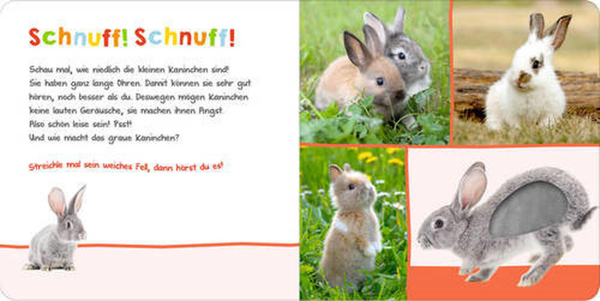 SOUND- UND FÜHLBUCH  - Basics (19,7/19,7/1,8cm) - Carlsen