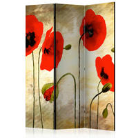 PARAVENT mit 3  Flügel - Hellbraun/Rot, Basics, Holz/Textil (135/172/3cm) - artgeist