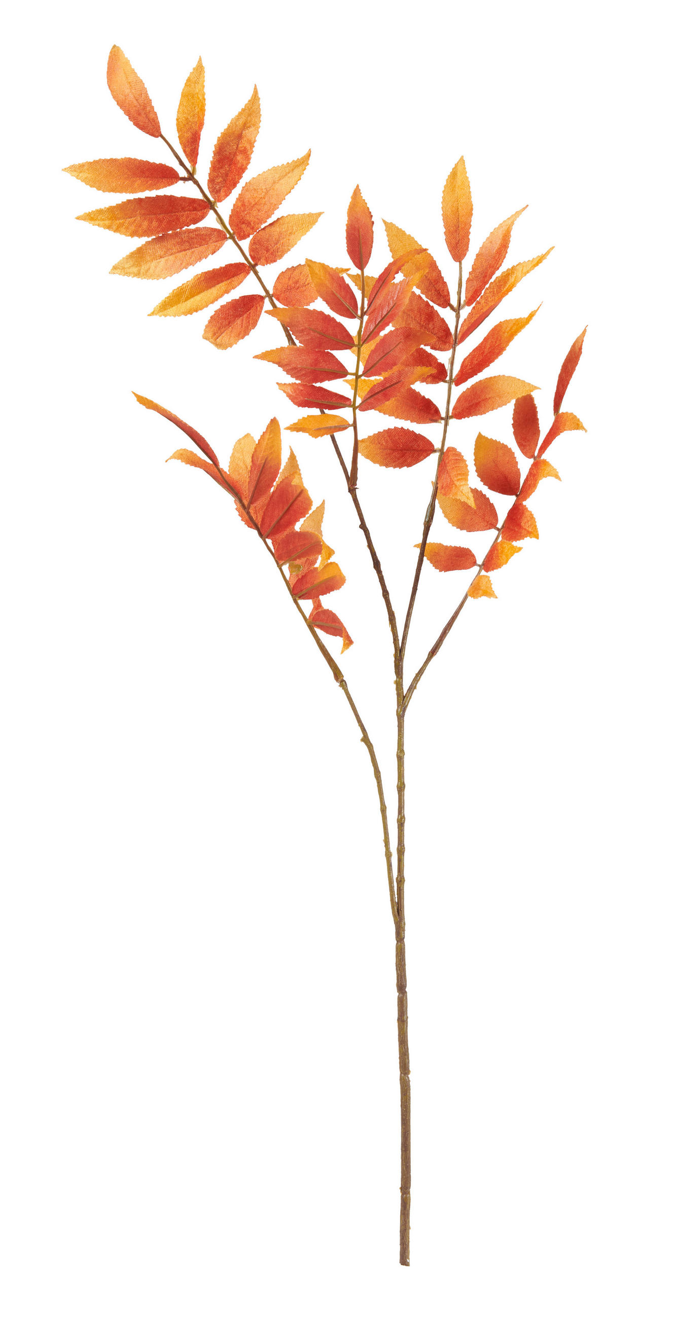 DEKOZWEIG - Braun/Orange, LIFESTYLE, Kunststoff/Textil (82cm)