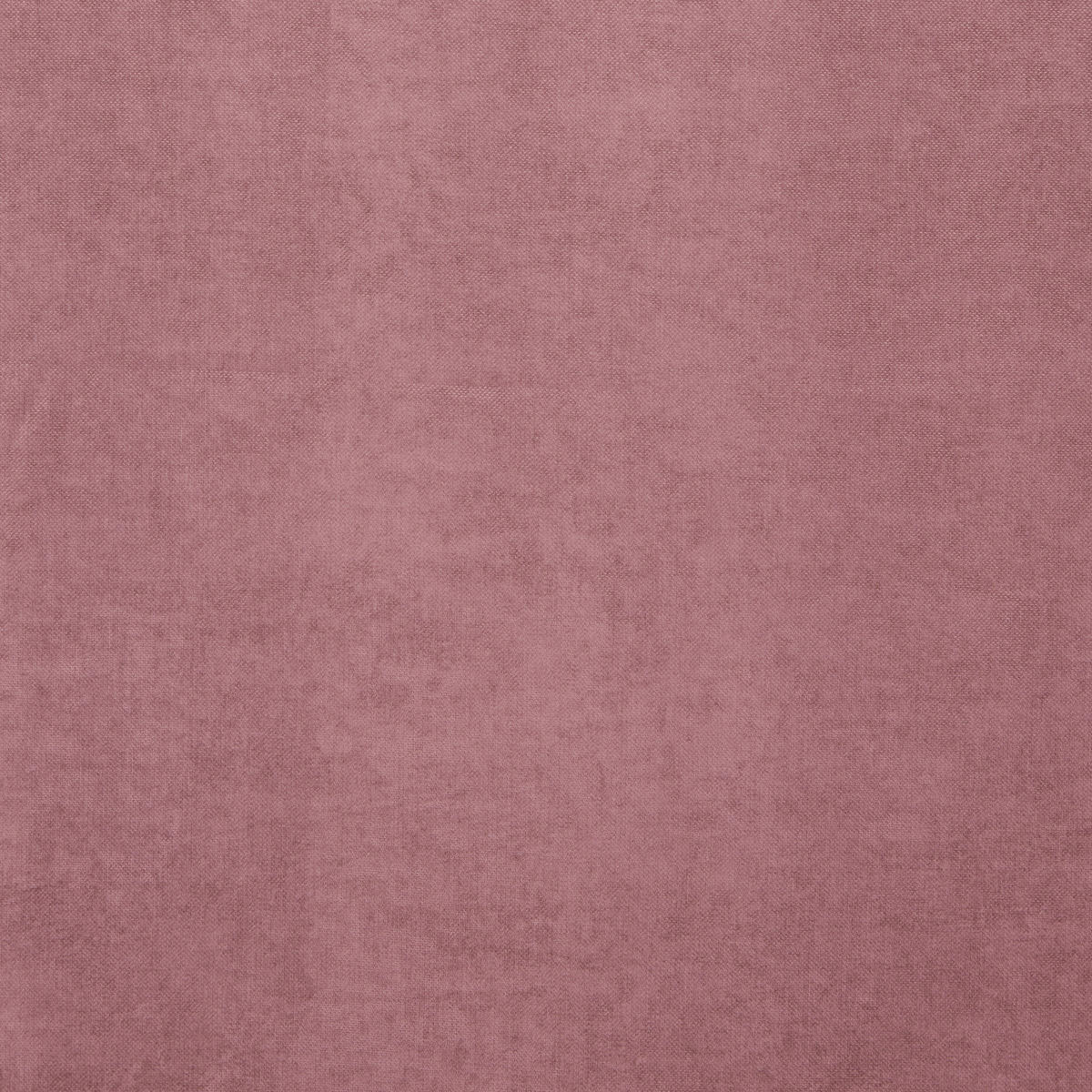 KONČANA ZAVESA  neprosojno   140/245 cm  - sivovijolična, Konvencionalno, tekstil (140/245cm) - Esposa