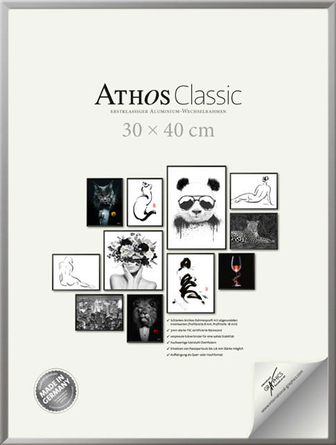 BILDERRAHMEN - Silberfarben, Basics, Papier/Holzwerkstoff (30/40/1,8cm)