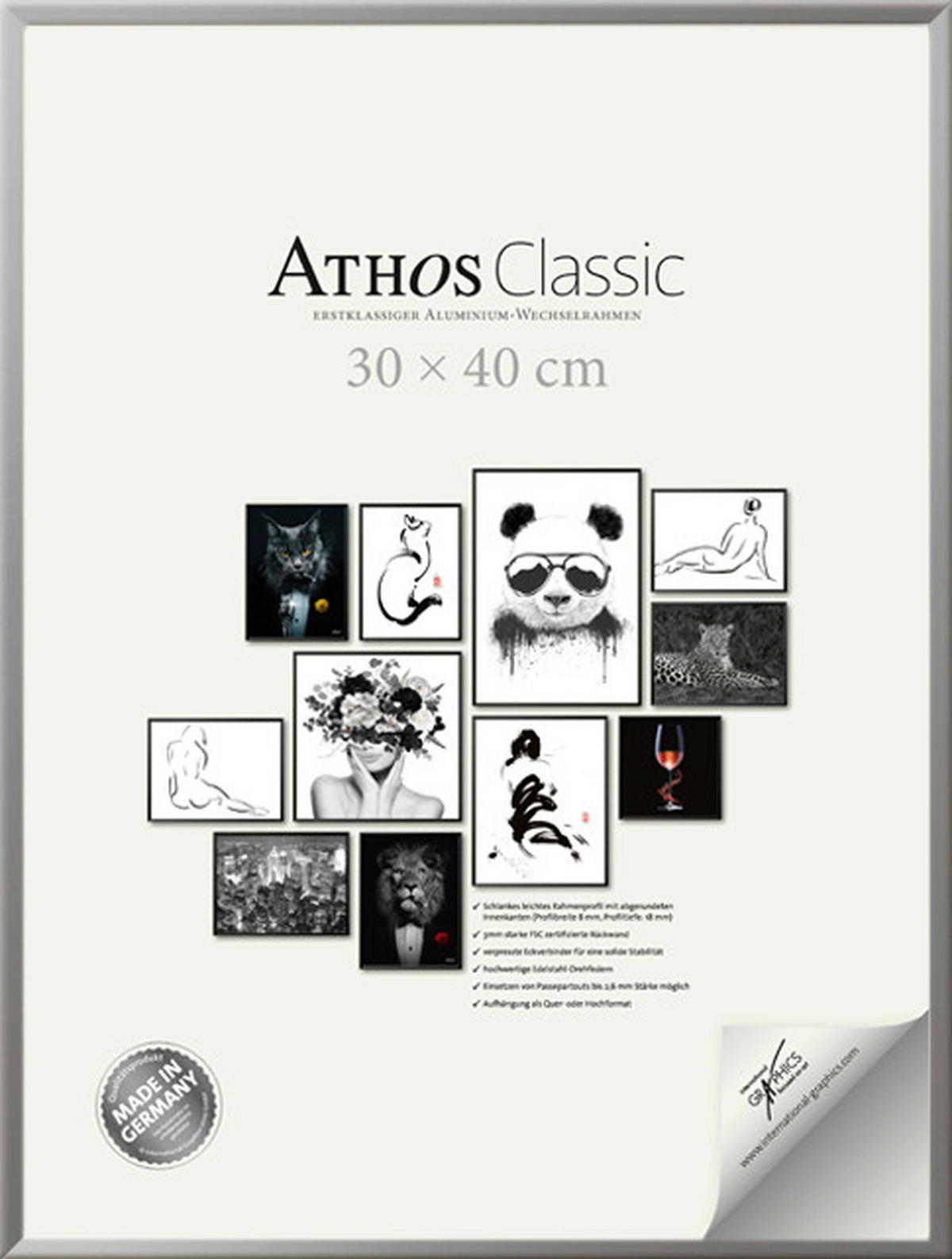 BILDERRAHMEN - Silberfarben, Basics, Papier/Holzwerkstoff (30/40/1,8cm)